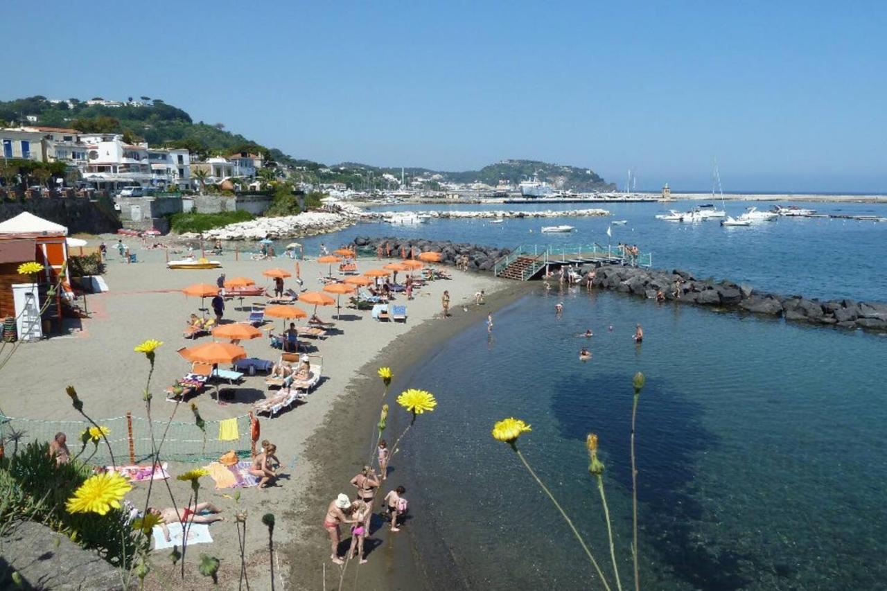 La Terrazza Dell^Ippocampo #Seaview Apartment Ischia Ngoại thất bức ảnh